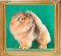 Canton_Pacific_Rising_4_yrs_7_mos_0420.jpg