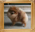 Canton_Pretty_Woman_4.84lbs_4600_0.jpg