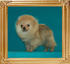 Canton_Richard_of_Mt_Crest_6989_3.5mo_1.1lbs_47543.jpg