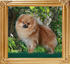 Canton_Royal_Crown_47397.jpg
