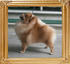 Canton_Selena_Li_3.96lbs_8mo_5507_0.jpg
