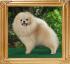 Ph_Ch_Yingyang_Bibi_of_Canton.jpg