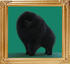 Ph_Ch_Yingyang_Black_Knight_2yrs_2mo_5.5lbs.jpg