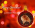 Xmas_2013.jpg
